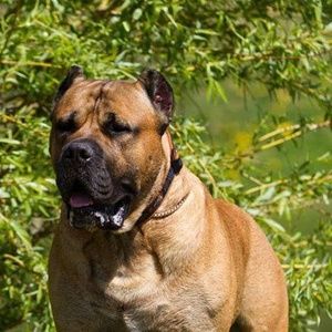 Meet your Posher, Sean